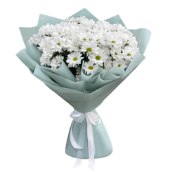A delicate bouquet of white daisies, 51