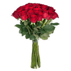 51 red meter rose, a great gift for Mother's Day